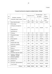 Individualios įmonės „Alsona“ verslo planas 15 puslapis
