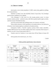 Individualios įmonės „Alsona“ verslo planas 16 puslapis