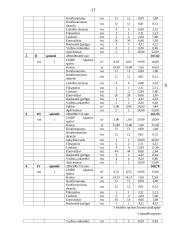 Individualios įmonės „Alsona“ verslo planas 17 puslapis