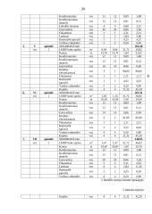 Individualios įmonės „Alsona“ verslo planas 20 puslapis