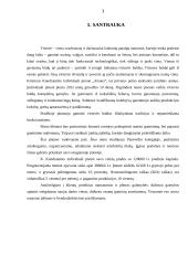 Individualios įmonės „Alsona“ verslo planas 3 puslapis