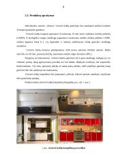 Individualios įmonės „Alsona“ verslo planas 6 puslapis