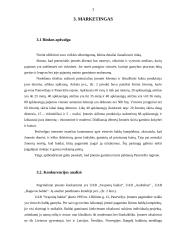 Individualios įmonės „Alsona“ verslo planas 7 puslapis