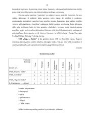 Individualios įmonės „Alsona“ verslo planas 8 puslapis