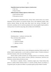 Individualios įmonės „Alsona“ verslo planas 9 puslapis