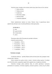 Individualios įmonės „Alsona“ verslo planas 10 puslapis