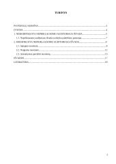 Nepriklausomo auditoriaus išvados, jų analizė ir palyginimas 2 puslapis