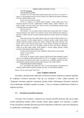 Nepriklausomo auditoriaus išvados, jų analizė ir palyginimas 13 puslapis