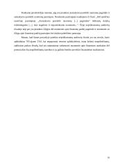 Nepriklausomo auditoriaus išvados, jų analizė ir palyginimas 16 puslapis
