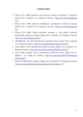 Nepriklausomo auditoriaus išvados, jų analizė ir palyginimas 19 puslapis