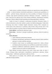 Nepriklausomo auditoriaus išvados, jų analizė ir palyginimas 4 puslapis