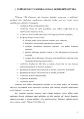 Nepriklausomo auditoriaus išvados, jų analizė ir palyginimas 5 puslapis