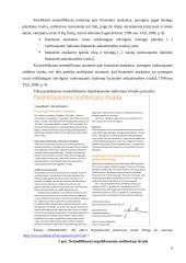 Nepriklausomo auditoriaus išvados, jų analizė ir palyginimas 6 puslapis