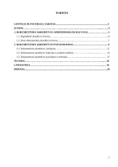 Dokumentinio akredityvo panaudojimas 2 puslapis