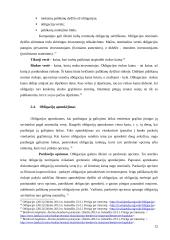 Lietuvos įmonių skolinimąsis vertybinių popierių rinkoje 12 puslapis