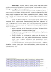 Lietuvos įmonių skolinimąsis vertybinių popierių rinkoje 13 puslapis