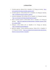 Lietuvos įmonių skolinimąsis vertybinių popierių rinkoje 15 puslapis