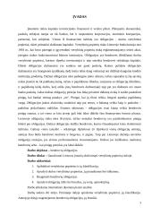 Lietuvos įmonių skolinimąsis vertybinių popierių rinkoje 3 puslapis