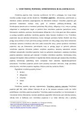 Lietuvos įmonių skolinimąsis vertybinių popierių rinkoje 4 puslapis