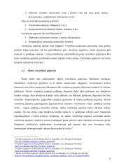 Lietuvos įmonių skolinimąsis vertybinių popierių rinkoje 6 puslapis