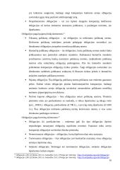 Lietuvos įmonių skolinimąsis vertybinių popierių rinkoje 10 puslapis