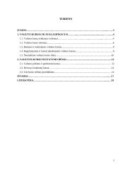 Tinkamo valiutos kurso nustatymas 2 puslapis