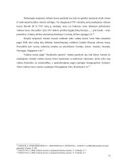 Tinkamo valiutos kurso nustatymas 11 puslapis