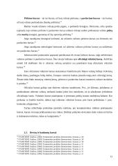 Tinkamo valiutos kurso nustatymas 13 puslapis