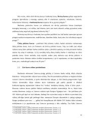 Tinkamo valiutos kurso nustatymas 14 puslapis