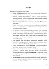 Tinkamo valiutos kurso nustatymas 17 puslapis