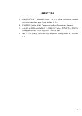 Tinkamo valiutos kurso nustatymas 19 puslapis