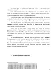 Tinkamo valiutos kurso nustatymas 8 puslapis