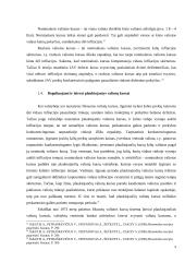 Tinkamo valiutos kurso nustatymas 9 puslapis