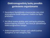 Elektromagnetinių laukų poveikis gyviesiems organizmams 2 puslapis