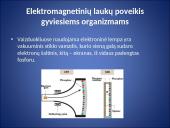 Elektromagnetinių laukų poveikis gyviesiems organizmams 12 puslapis