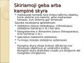 Šiuolaikiniai mikroskopai 12 puslapis