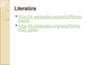 Šiuolaikiniai mikroskopai 13 puslapis