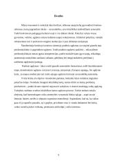 Pradinio ugdymo šiandiena Lietuvoje 9 puslapis