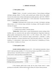 Marketingo savarankiškas darbas 4 puslapis