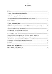 Praktikos ataskaita verslo įmonėje 2 puslapis