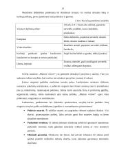 Praktikos ataskaita verslo įmonėje 13 puslapis