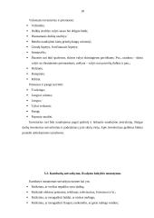 Praktikos ataskaita verslo įmonėje 18 puslapis