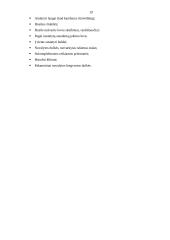 Praktikos ataskaita verslo įmonėje 19 puslapis