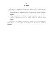 Praktikos ataskaita verslo įmonėje 20 puslapis