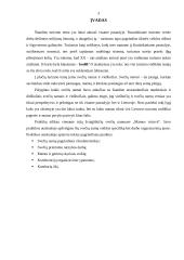 Praktikos ataskaita verslo įmonėje 3 puslapis