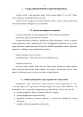 Praktikos ataskaita verslo įmonėje 4 puslapis