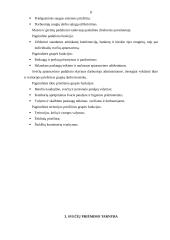 Praktikos ataskaita verslo įmonėje 8 puslapis