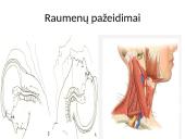 Sporto traumos 3 puslapis