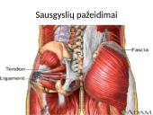 Sporto traumos 5 puslapis