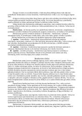 Bendravimas konspektas